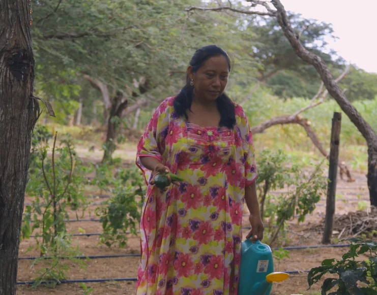 Mujer en la Guajira